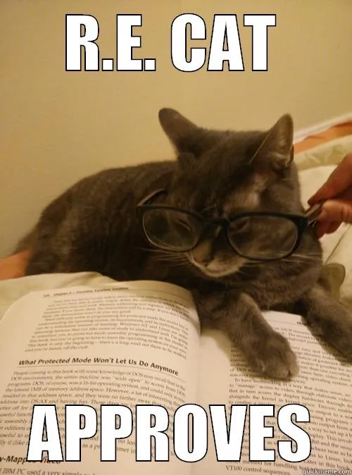 re-cat
